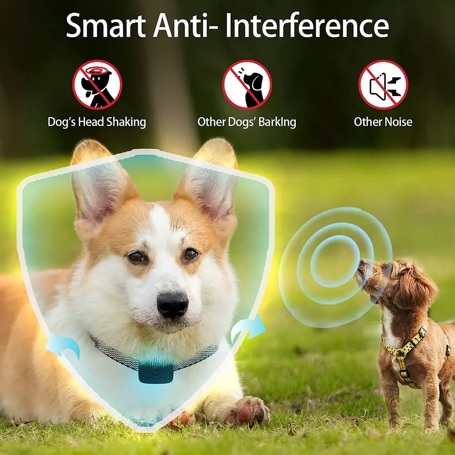 Smart Rechargeable No-Shock Dog Bark Control Collar
