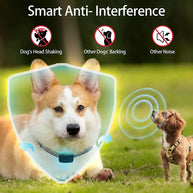 Smart Rechargeable No-Shock Dog Bark Control Collar