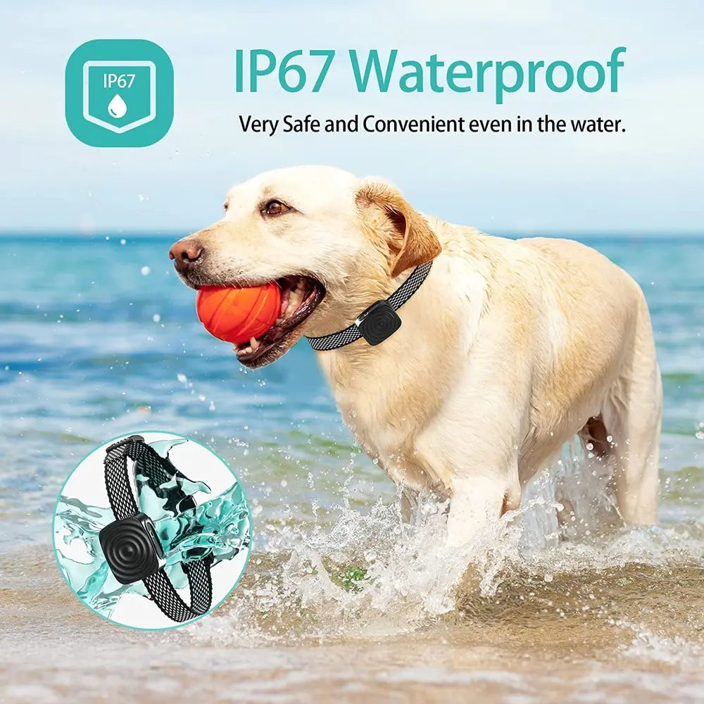 Smart Rechargeable No-Shock Dog Bark Control Collar
