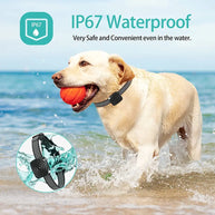 Smart Rechargeable No-Shock Dog Bark Control Collar