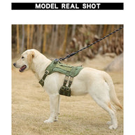 No-Pull Dog Harness with Front Clip Easy to Put On