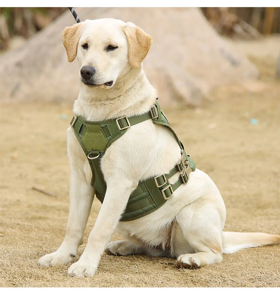 No-Pull Dog Harness with Front Clip Easy to Put On