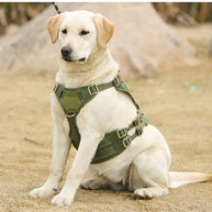 No-Pull Dog Harness with Front Clip Easy to Put On