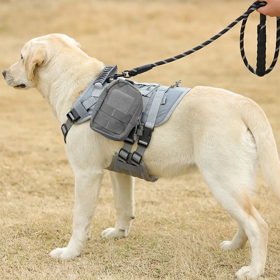 No-Pull Dog Harness with Front Clip Easy to Put On