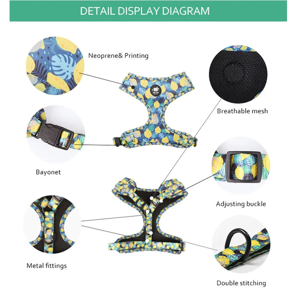 Dog Starter Kit with Harness, Leash, Bandana & Bag Carrier