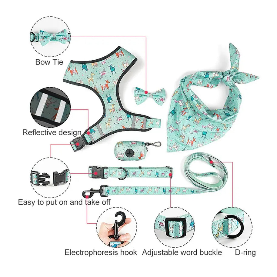Dog Starter Kit with Harness, Leash, Bandana & Bag Carrier