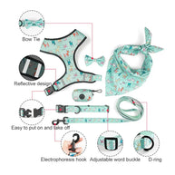 Dog Starter Kit with Harness, Leash, Bandana & Bag Carrier