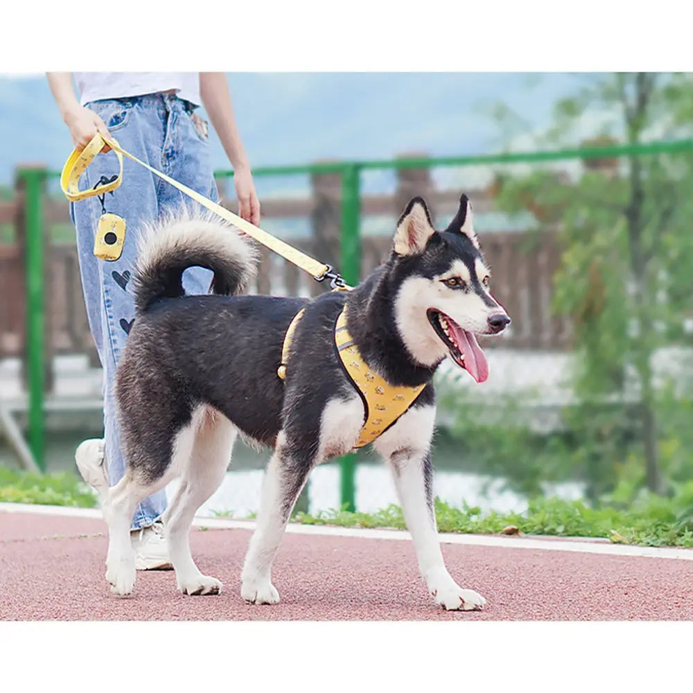 Dog Starter Kit with Harness, Leash, Bandana & Bag Carrier