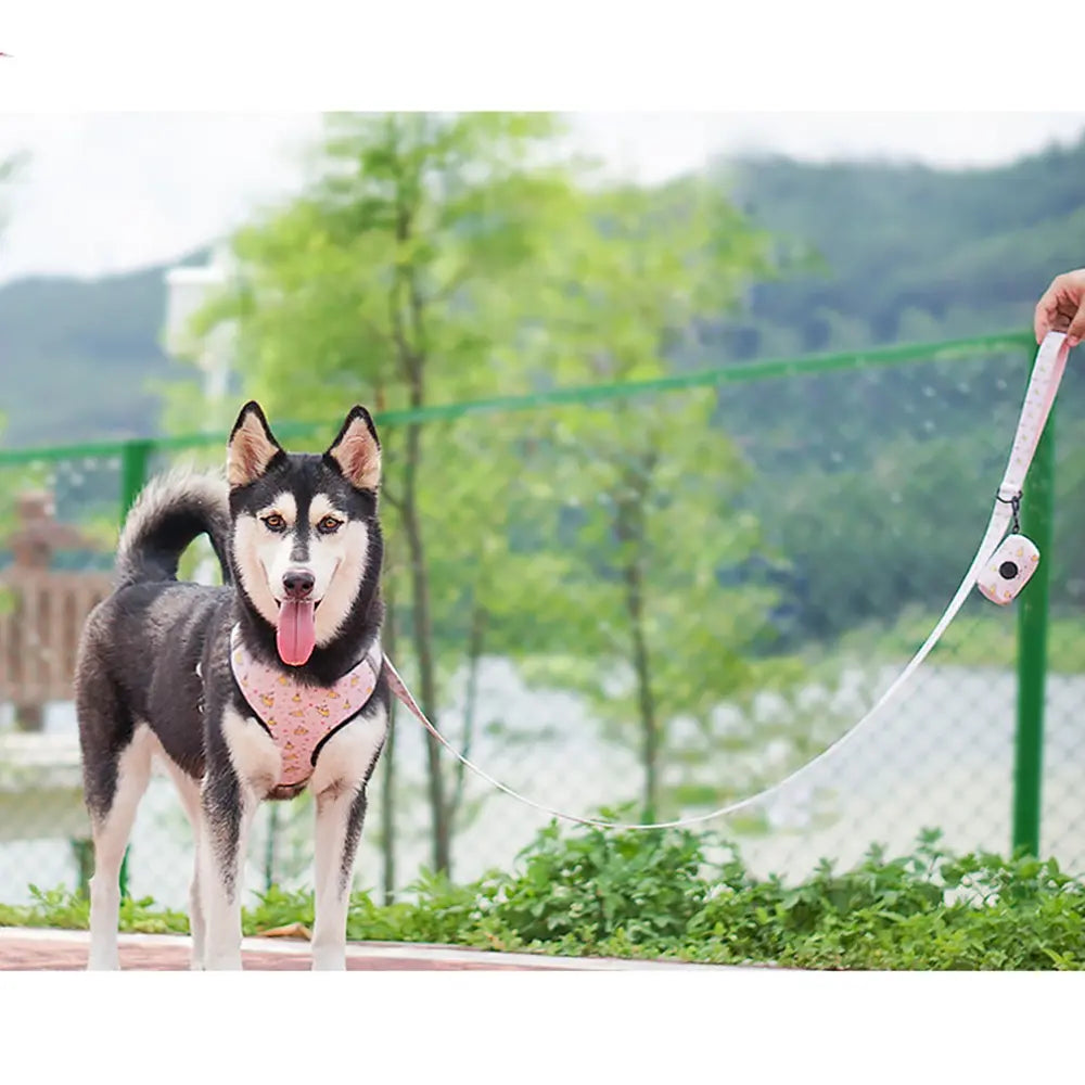 Dog Starter Kit with Harness, Leash, Bandana & Bag Carrier