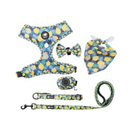 Dog Starter Kit with Harness, Leash, Bandana & Bag Carrier