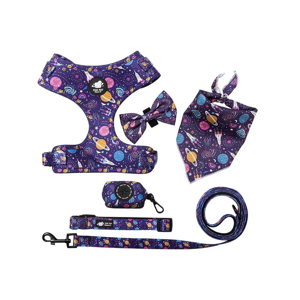 Dog Starter Kit with Harness, Leash, Bandana & Bag Carrier