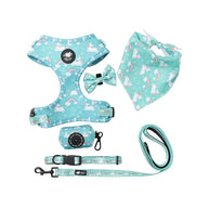 Dog Starter Kit with Harness, Leash, Bandana & Bag Carrier