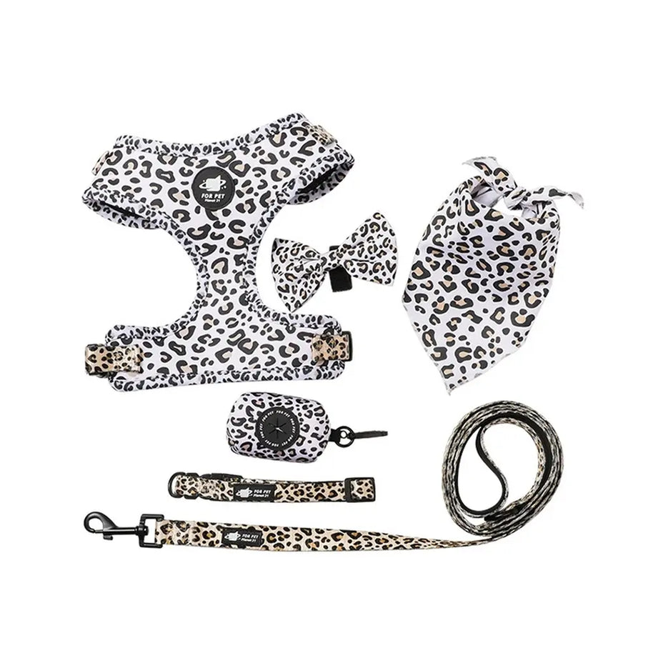 Dog Starter Kit with Harness, Leash, Bandana & Bag Carrier