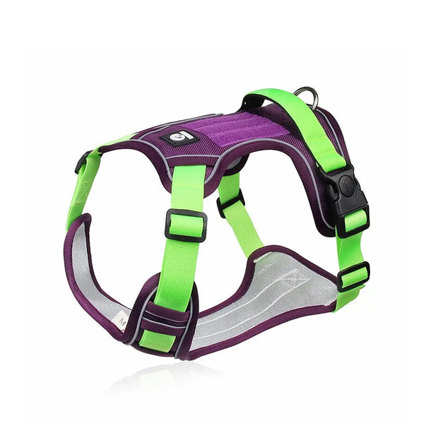 No-Pull Padded Dog Harness with Handle & Seat Belt Restraint
