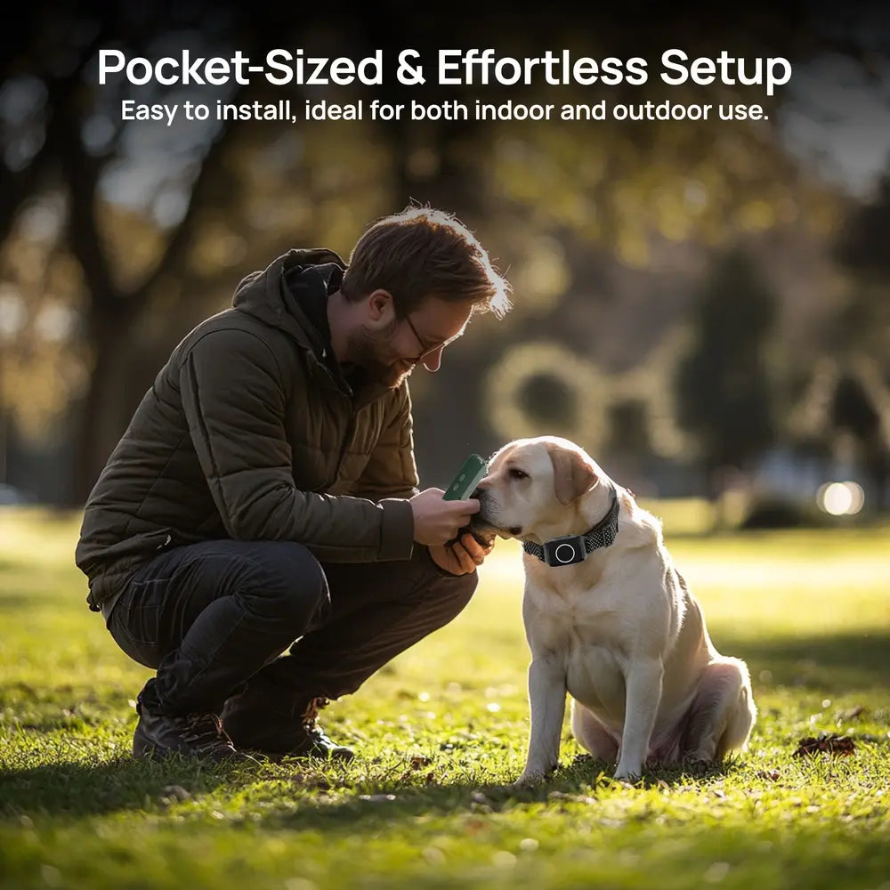 3300ft Wireless GPS Electric Dog Fence & Training Collar