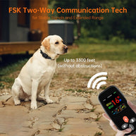 3280FT Waterproof Rechargeable E-Collar 3 Training Modes