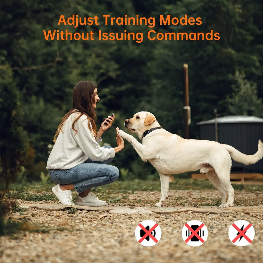 3280FT Waterproof Rechargeable E-Collar 3 Training Modes