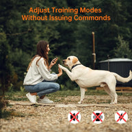 3280FT Waterproof Rechargeable E-Collar 3 Training Modes