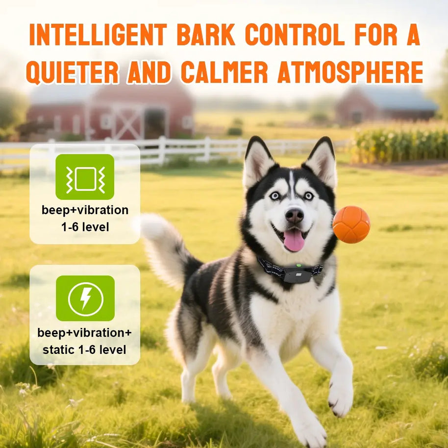 Rechargeable Waterproof Remote Dog Training Collar