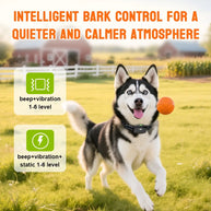 Rechargeable Waterproof Remote Dog Training Collar