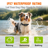 Rechargeable Waterproof Remote Dog Training Collar