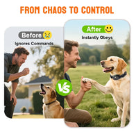 Rechargeable Waterproof Remote Dog Training Collar