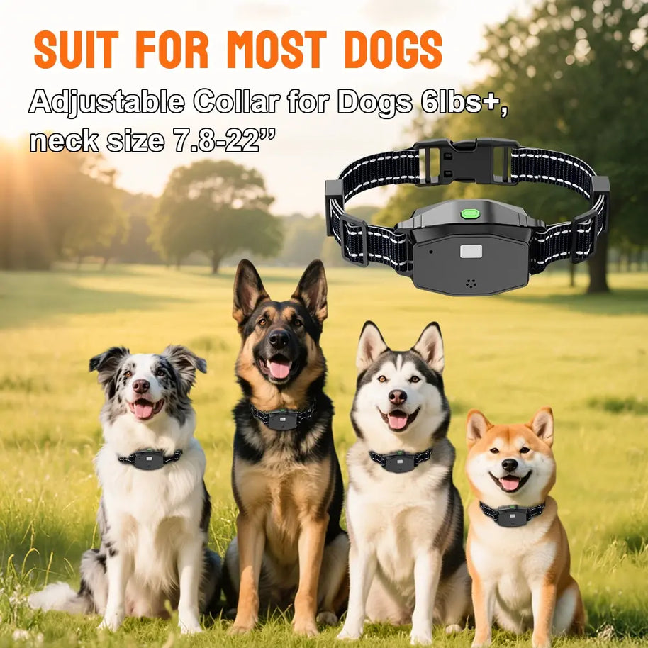 Rechargeable Waterproof Remote Dog Training Collar