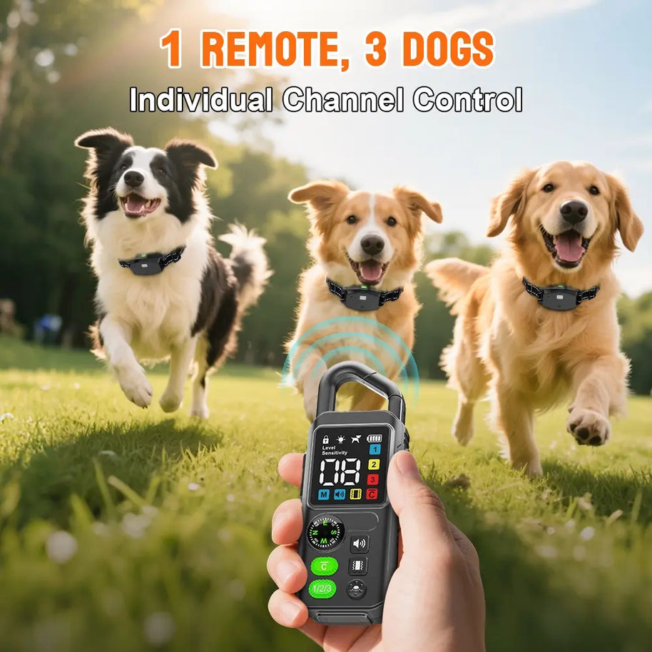 Rechargeable Waterproof Remote Dog Training Collar
