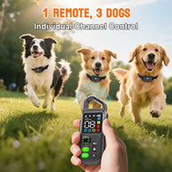 Rechargeable Waterproof Remote Dog Training Collar
