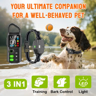 Rechargeable Waterproof Remote Dog Training Collar