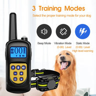 Rechargeable Anti-Bark Dog Collar with Remote Control