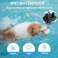 Rechargeable Anti-Bark Dog Collar with Remote Control
