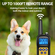 Rechargeable Anti-Bark Dog Collar with Remote Control