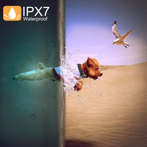 T701 Waterproof Dog Training Collar