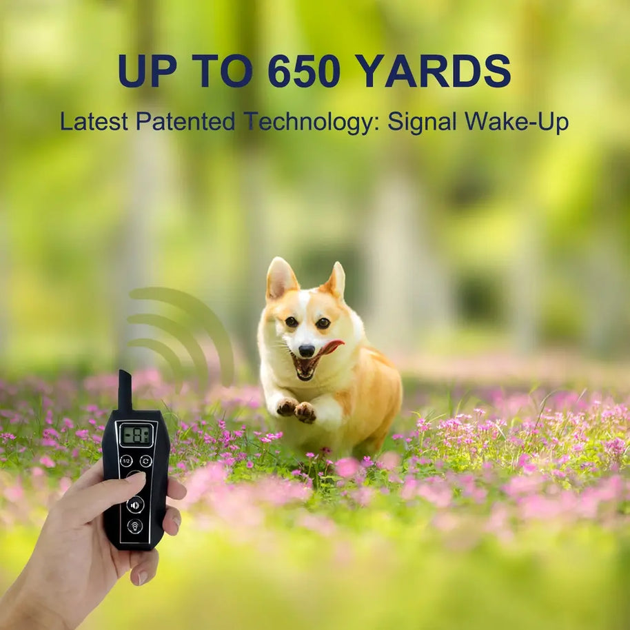 T701 Waterproof Dog Training Collar