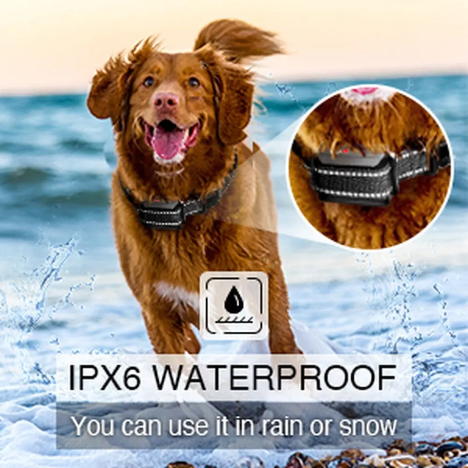 Waterproof Dog Training Collar with Beep Vibration & Shock