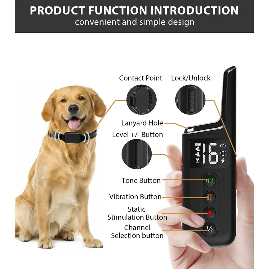 300M Professional Remote Training Collar for Medium & Large Dogs