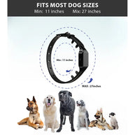 300M Professional Remote Training Collar for Medium & Large Dogs