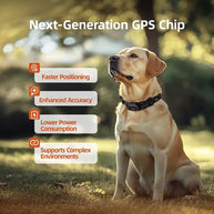 IPX7 Waterproof GPS Wireless Dog Fence & Shock Collar