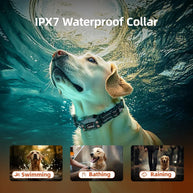 IPX7 Waterproof GPS Wireless Dog Fence & Shock Collar