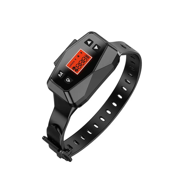 IPX7 GPS Wireless Dog Fence with Rechargeable Collar