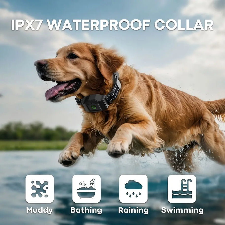 Wireless GPS Dog Fence System with 3 Collars
