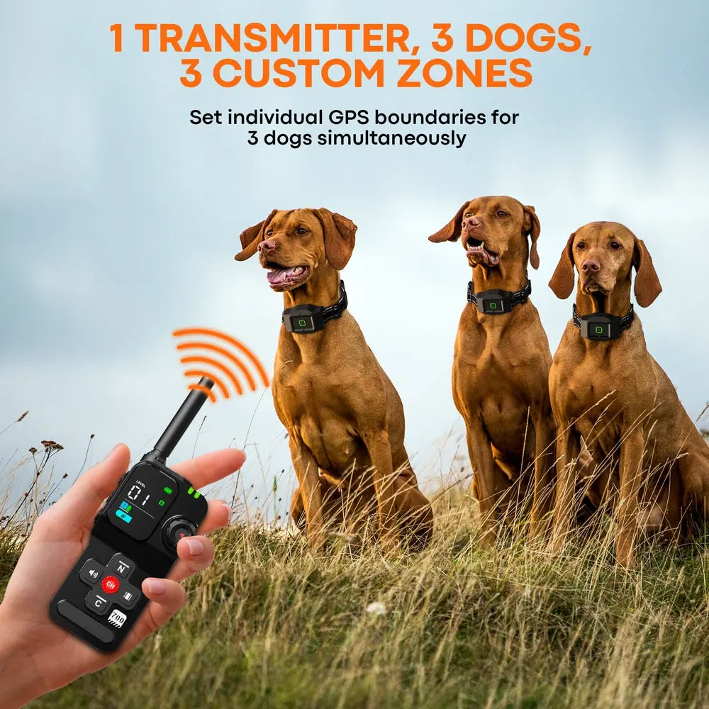 Wireless GPS Dog Fence System with 3 Collars