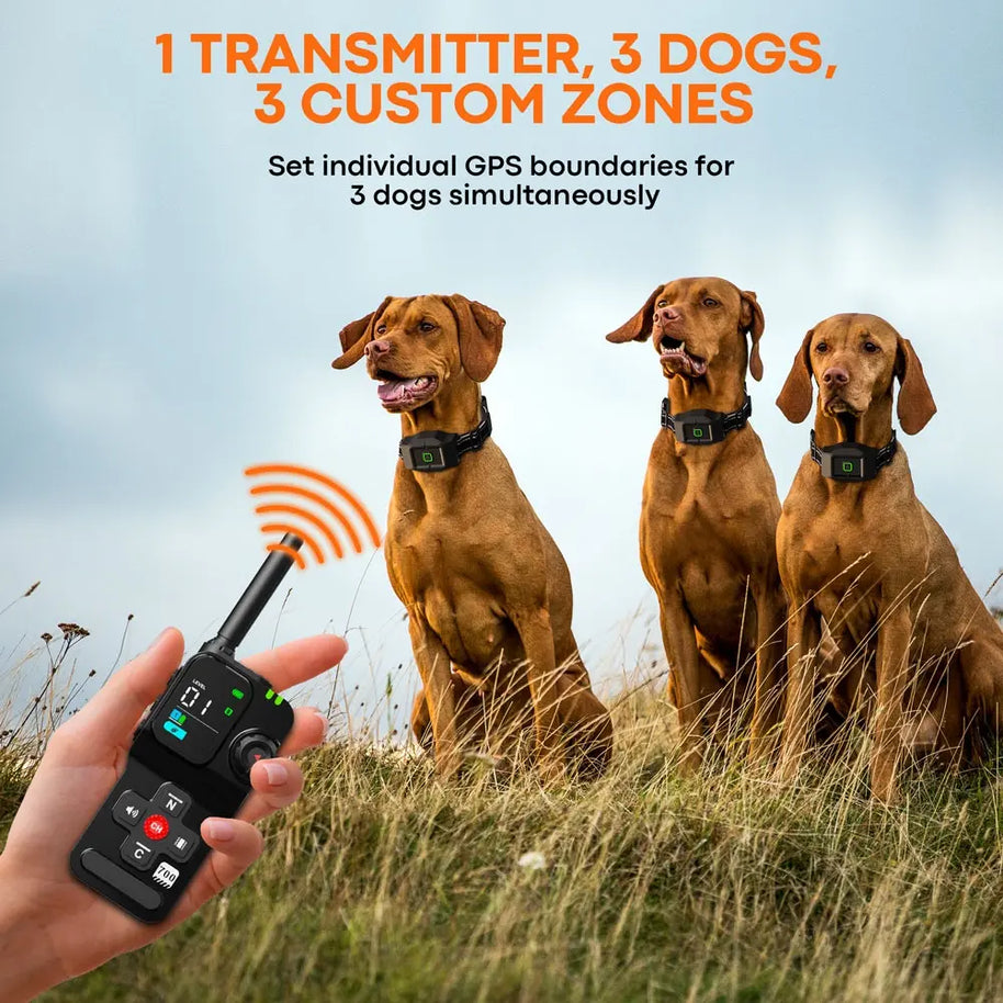Wireless GPS Dog Fence System with 3 Collars
