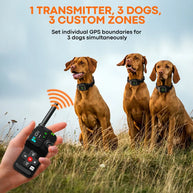 Wireless GPS Dog Fence System with 3 Collars