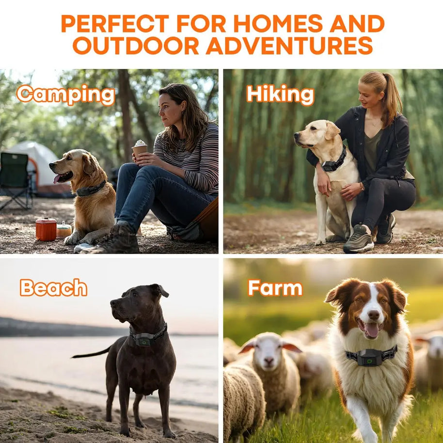 Wireless GPS Dog Fence System with 3 Collars