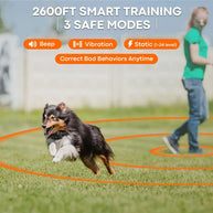 Wireless GPS Dog Fence System with 3 Collars