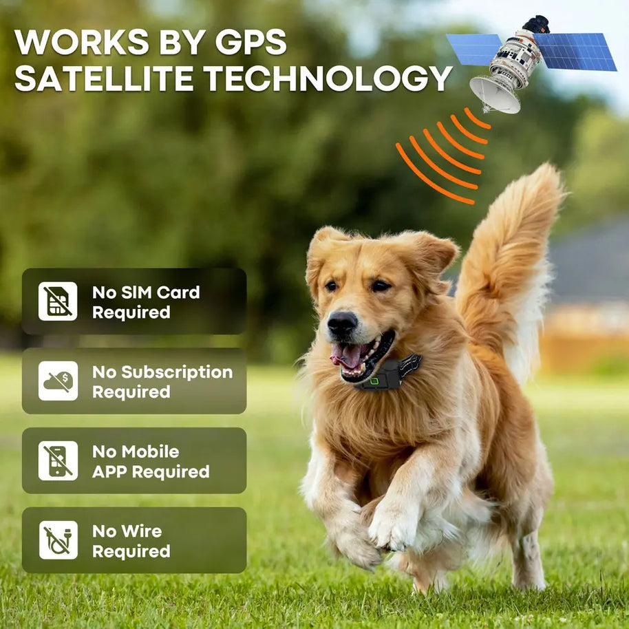Wireless GPS Dog Fence System with 3 Collars