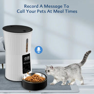 4L Auto Pet Feeder with Manual & Timed Modes, Steel Bowl