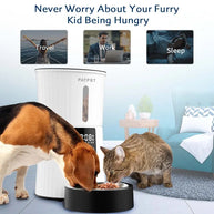 4L Auto Pet Feeder with Manual & Timed Modes, Steel Bowl